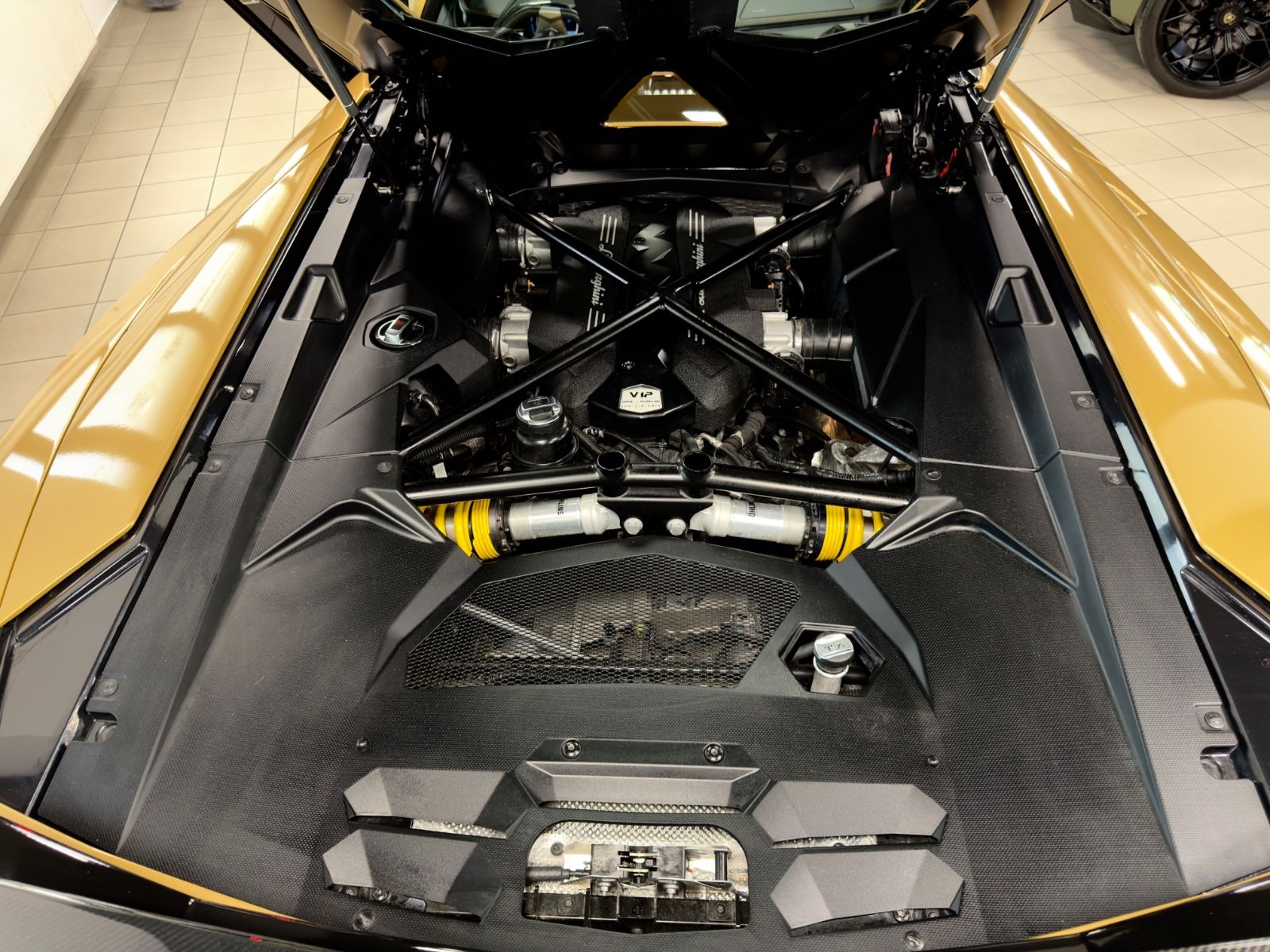 Fahrzeugabbildung Lamborghini AVENTADOR LP 700-4 ROADSTER NOVITEC EINZELSTÜCK!